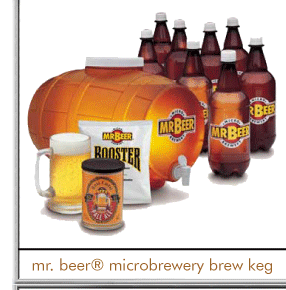 Mr. Beer Microbrewery
